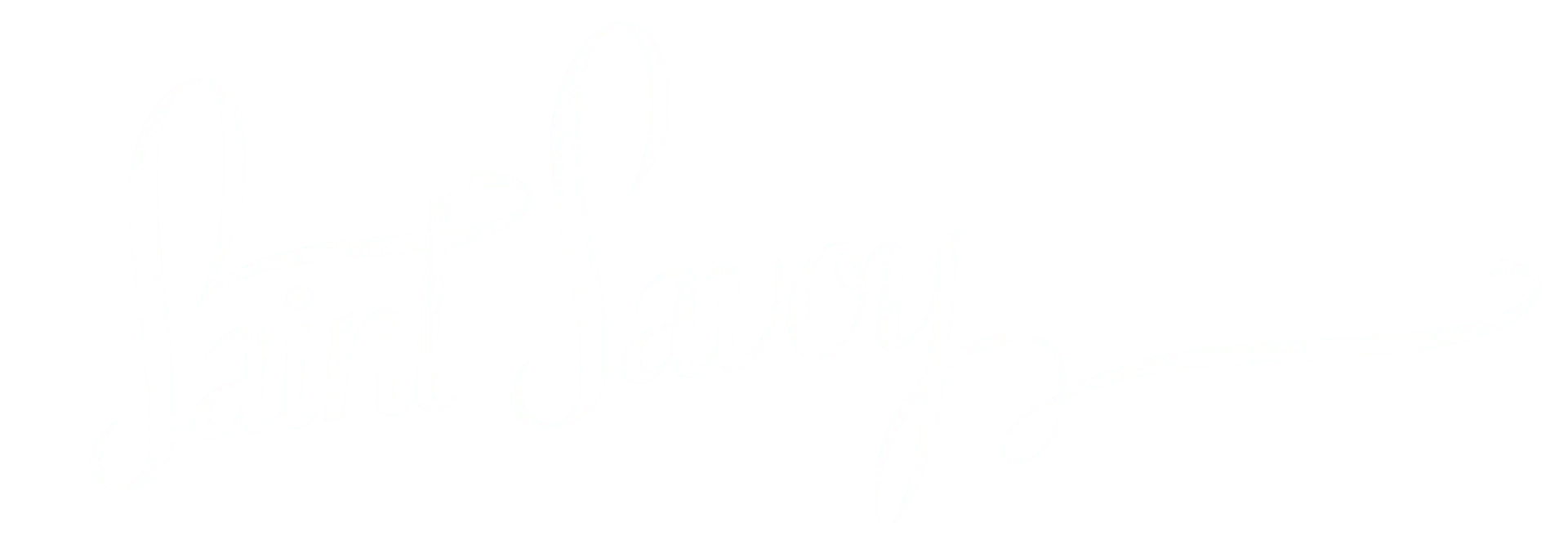 saintsavoy.com