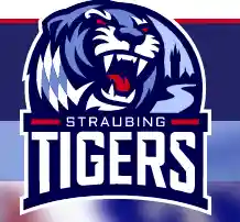 straubing-tigers.de